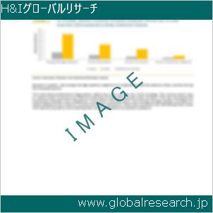 グローバルリサーチ調査レポートのイメージ
